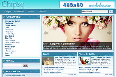 GP Chipse WordPress Teması