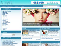 WordPress Portal Teması